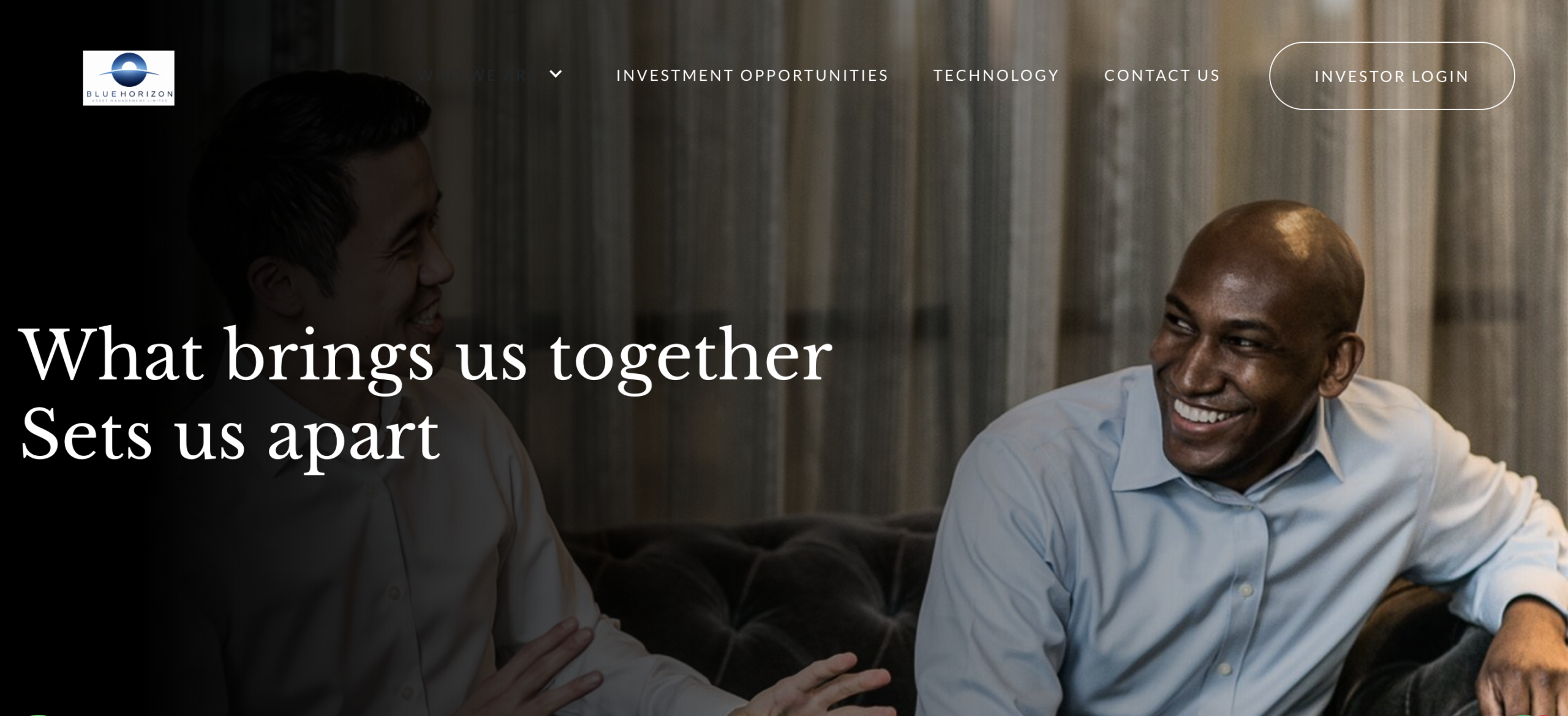 Bluehorizonassetmanagementlimited.com Review