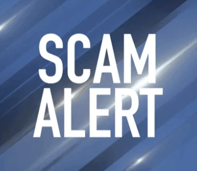 Morizonltd.com Scam Review