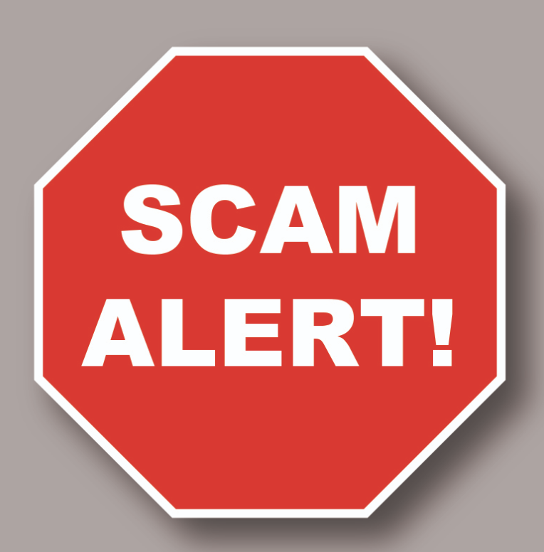 Rudimentalinvestition.ltd Scam Allegations