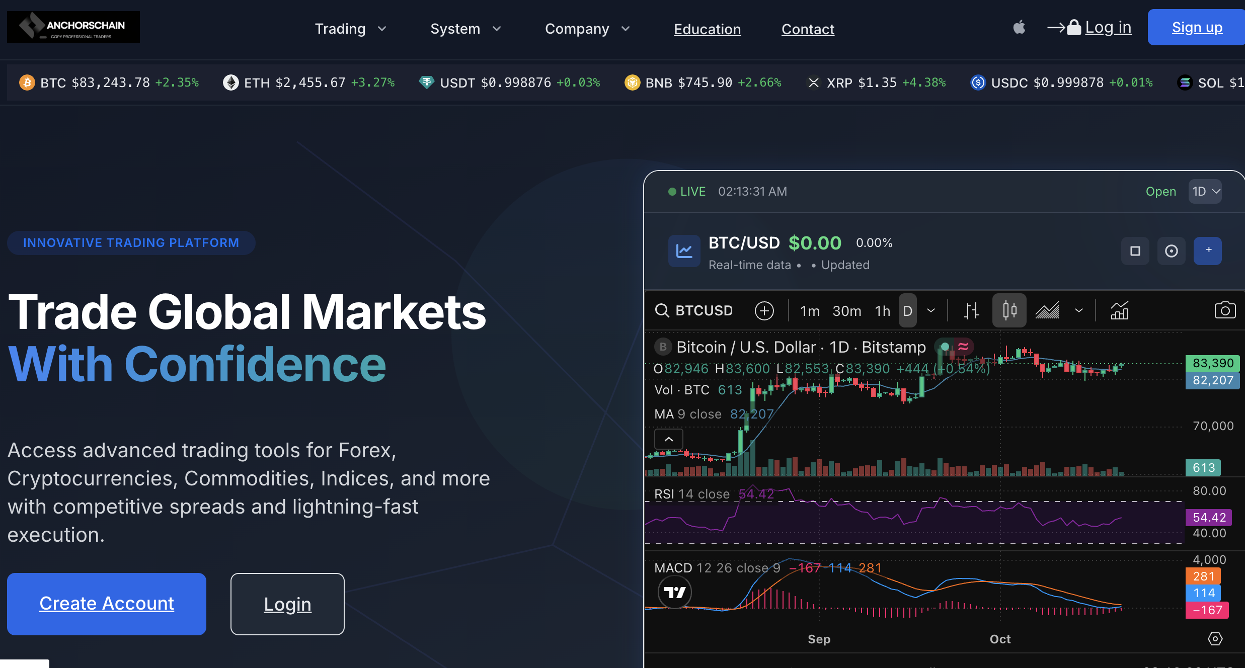 Our Detailed Review of Anchorschain.com